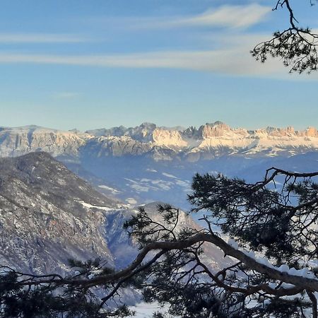Tinnerhof Аппиано-Сулла-Страда-дель-Вино Экстерьер фото