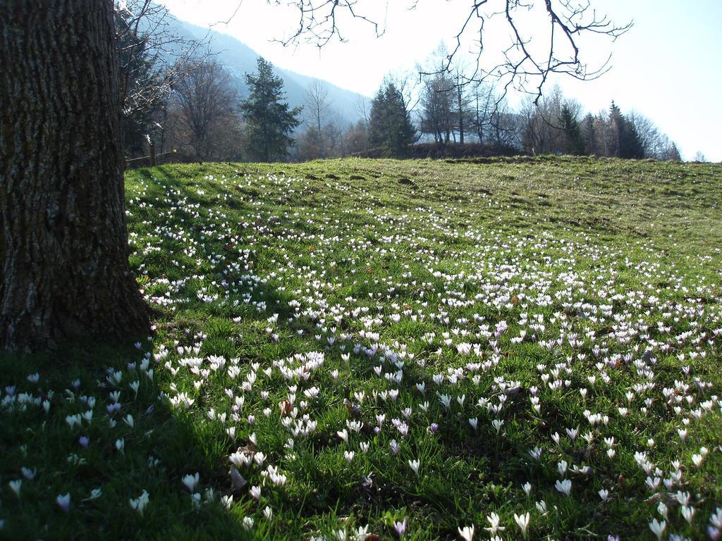 Tinnerhof Аппиано-Сулла-Страда-дель-Вино Экстерьер фото