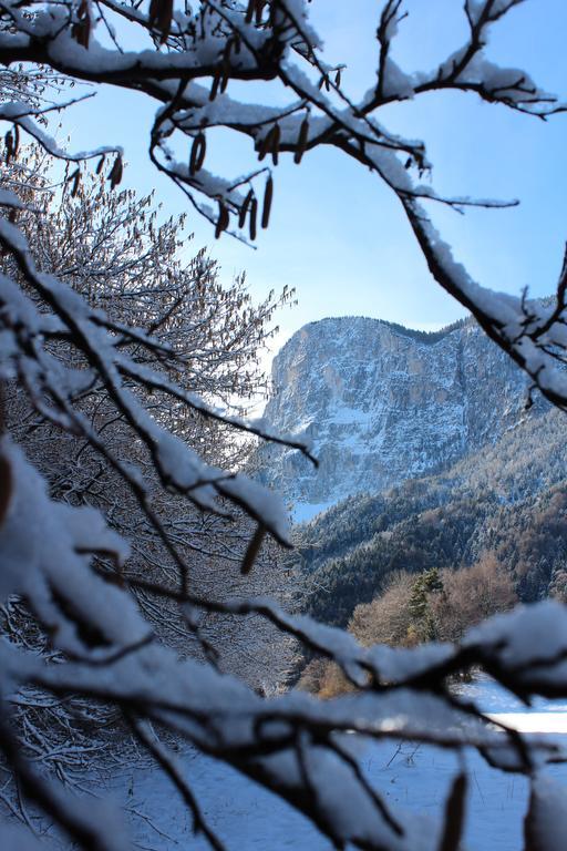 Tinnerhof Аппиано-Сулла-Страда-дель-Вино Экстерьер фото