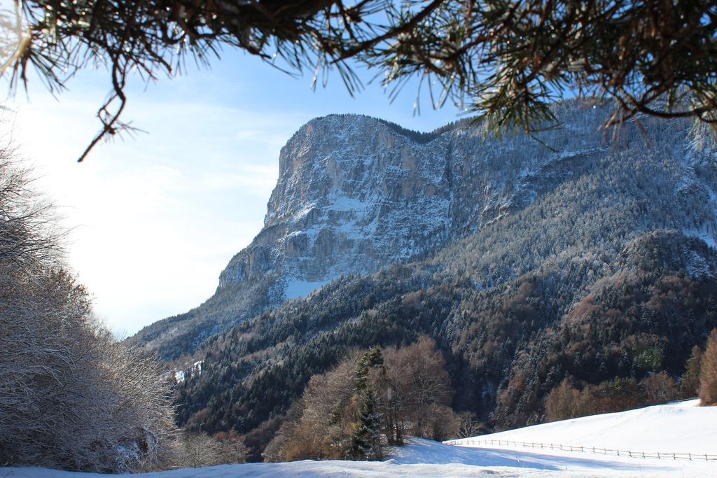 Tinnerhof Аппиано-Сулла-Страда-дель-Вино Экстерьер фото