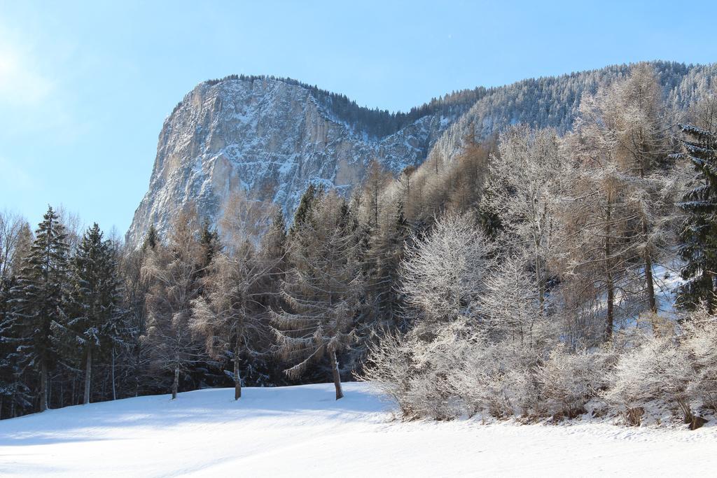 Tinnerhof Аппиано-Сулла-Страда-дель-Вино Экстерьер фото