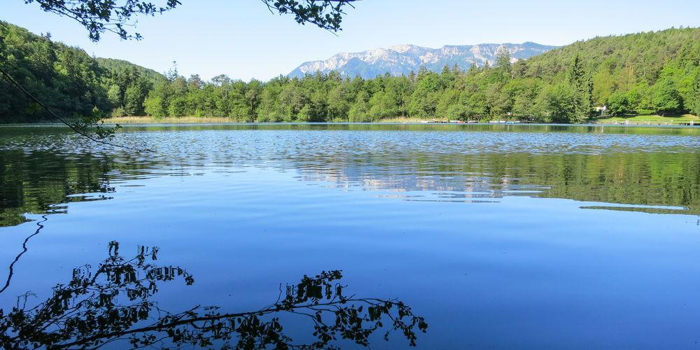 Tinnerhof Аппиано-Сулла-Страда-дель-Вино Экстерьер фото