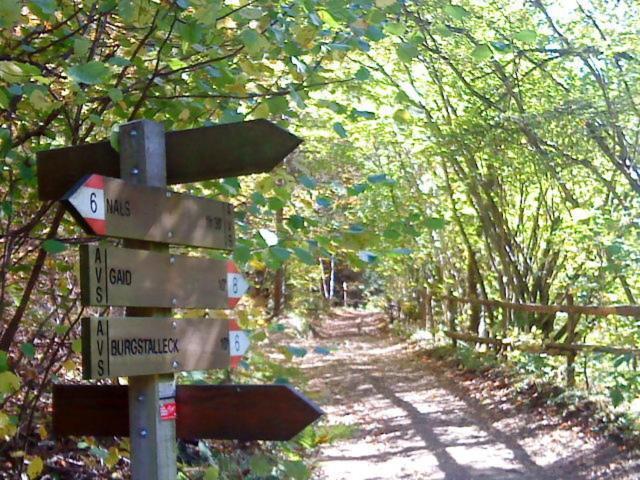 Tinnerhof Аппиано-Сулла-Страда-дель-Вино Экстерьер фото